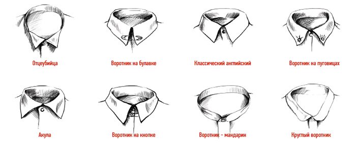 виды воротников