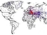 Сам себе журналист